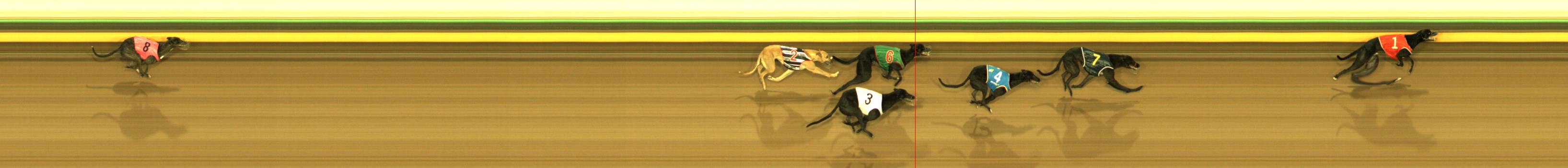 Race result finish photo